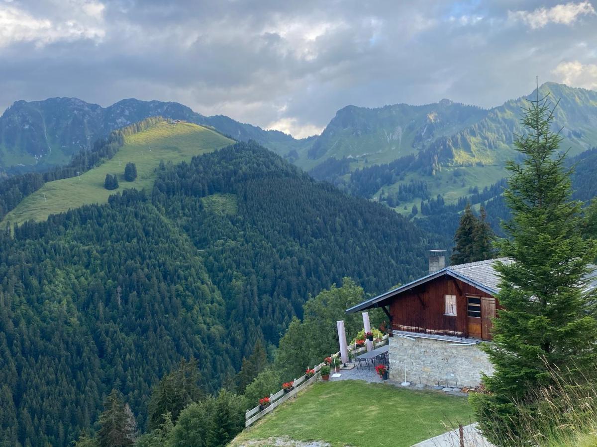 Alpine Apartment In Swiss Village Of Torgon Zewnętrze zdjęcie